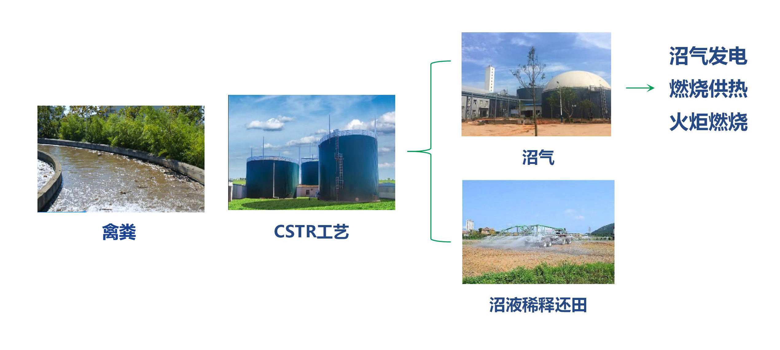 中；肪-·-禽类粪便全产业链系统解决规划-9.0_01.jpg
