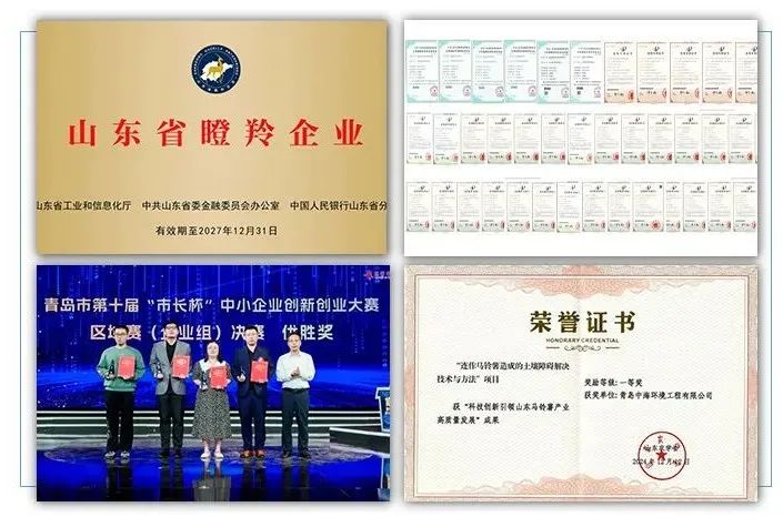 2-250124103209341 图片